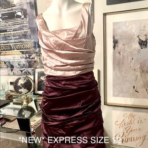 Express Colorblocked ruched dress